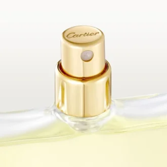 Eau de Toilette Nachfüllpackung – Declaration | Cartier