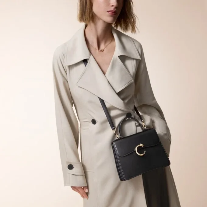 Kleine Tasche, Panthere C