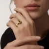 Panthere De Cartier Ring aus Gelbgold und Onyx | Cartier US