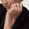 Panthere De Cartier Ring – Roségold, Tsavorit-Granate, Onyx, schwarzer Lack, Diamanten – Cartier