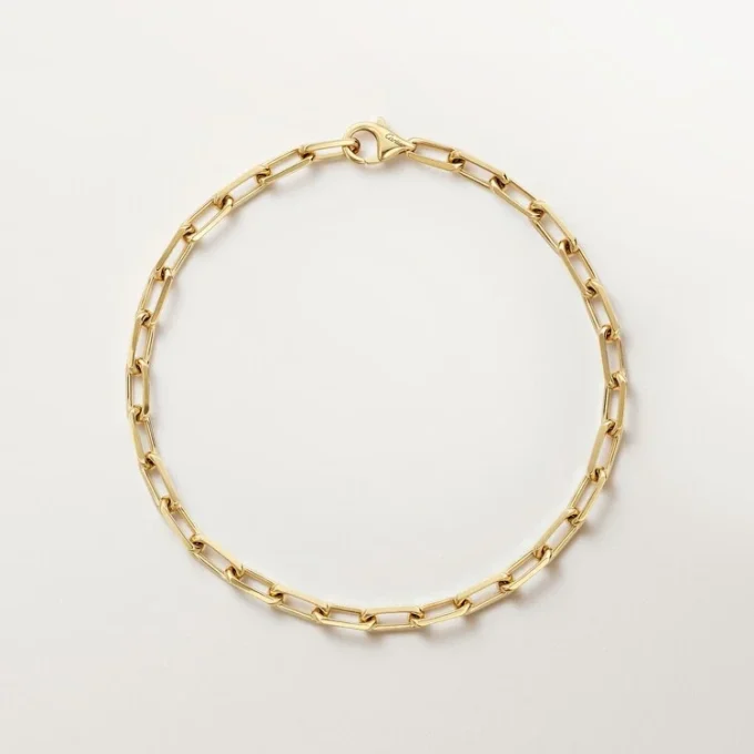 Santos de Cartier Armband, Kette, kleines Modell