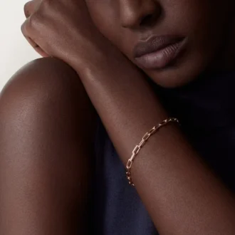 Santos de Cartier Armband, Kette, kleines Modell
