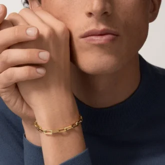 Santos de Cartier Armband, Kette, mittleres Modell